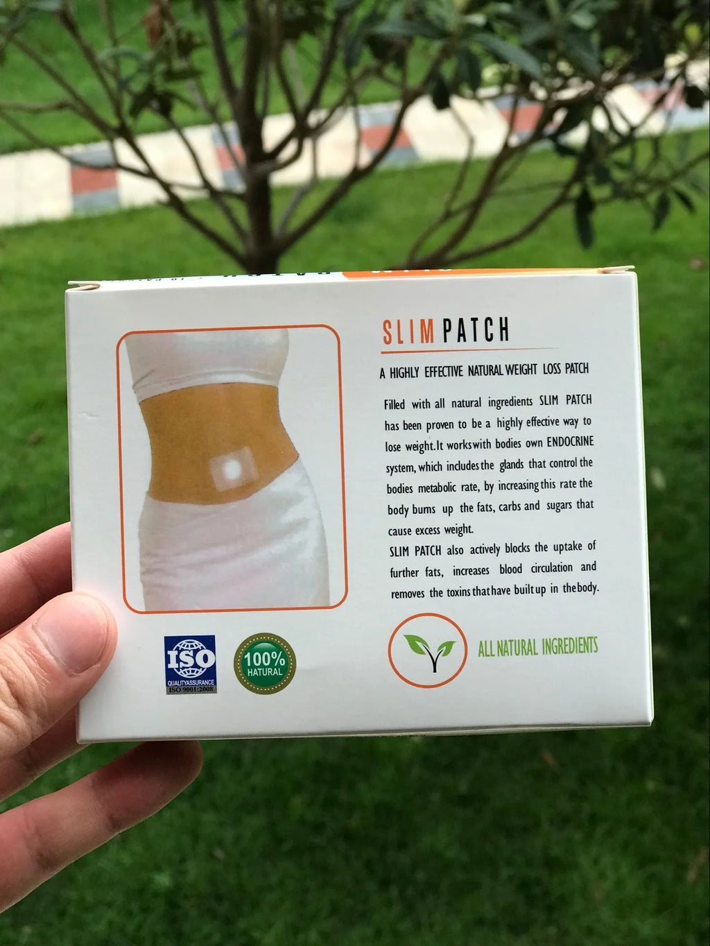 Slimming Belly Patch – Detox and Fat-Burning Support
