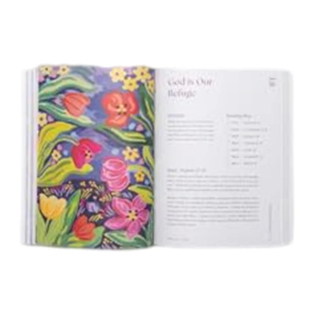 A Beautiful Year in The Bible Journal